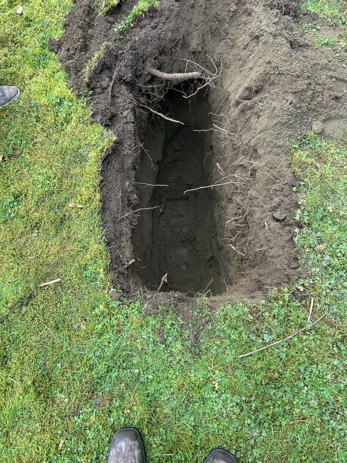 A rectangular pit dug into grass, showing layered soil in the cut faces with tree roots protruding from the walls. A person's boots are visible at the edge of the frame.