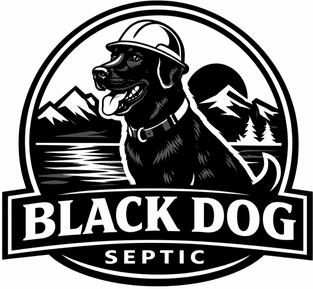 BDS Logo